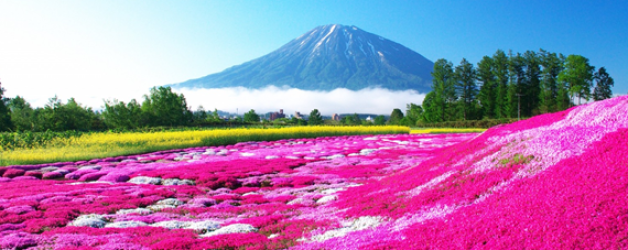 Conferencia: Viajar a Japón. Tendencias y consejos para un primer viaje al país del sol naciente.